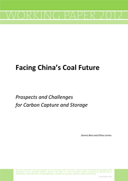 Facing China's Coal Future