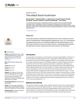 The Oldest Fossil Mushroom