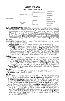 GAME WINNER Bay Horse; Foaled 2016 Cryptoclearance Ride the Rails