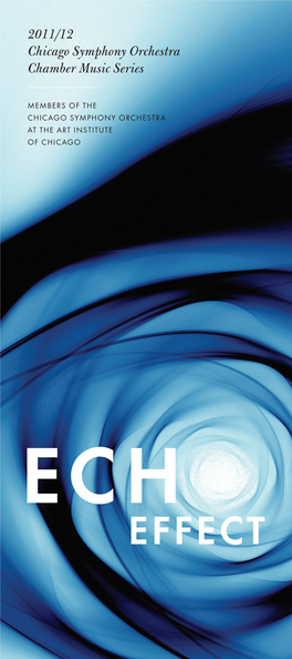Effect Echo Effect
