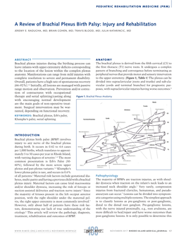 A Review of Brachial Plexus Birth Palsy: Injury and Rehabilitation