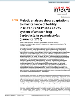 Meiotic Analyses Show Adaptations to Maintenance of Fertility In