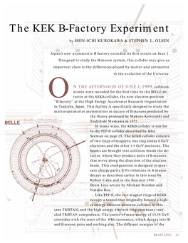 The KEK B-Factory Experiment