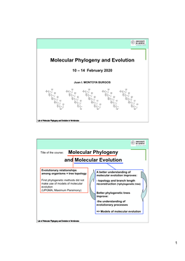 Molecular Phylogeny and Evolution