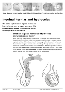 Inguinal Hernias and Hydroceles