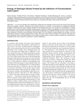 Energy of Hydrogen Bonds Probed by the Adhesion of Functionalized Lipid Layers