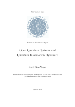 Open Quantum Systems and Quantum Information Dynamics