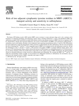 Role of Two Adjacent Cytoplasmic Tyrosine Residues in MRP1 (ABCC1) Transport Activity and Sensitivity to Sulfonylureas