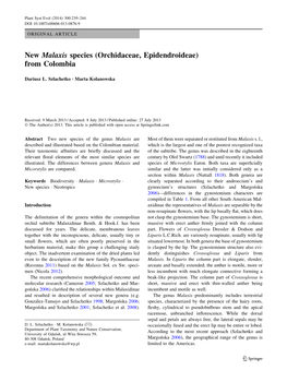 New Malaxis Species (Orchidaceae, Epidendroideae) from Colombia