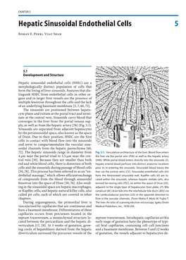 Hepatic Sinusoidal Endothelial Cells 5