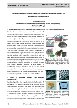 Development of Functional Organic/Inorganic Hybrid Materials by Macromolecular Templates