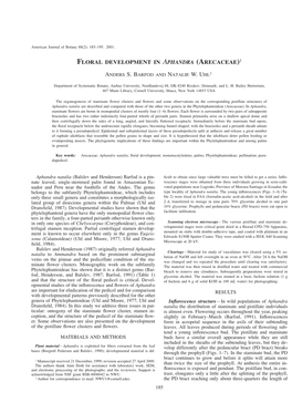 Floral Development in Aphandra (Arecaceae)1