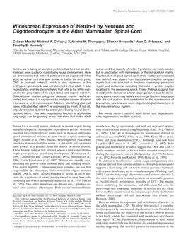 Widespread Expression of Netrin-1 by Neurons and Oligodendrocytes in the Adult Mammalian Spinal Cord