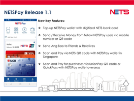 Netspay Release 1.1