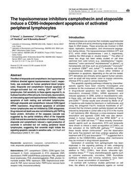 The Topoisomerase Inhibitors Camptothecin and Etoposide Induce a CD95-Independent Apoptosis of Activated Peripheral Lymphocytes