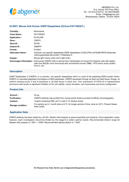 32-5957: Mouse Anti Human CNDP Dipeptidase 2(Clone:PAT15E5AT.)