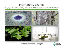 Phyto-Biotics Perilla Anti-Aging, Anti-Wrinkle, Soothing, Antioxidant, ATP Synthesis, Increases Cellular Metabolism