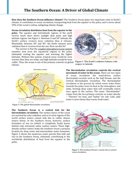 The Southern Ocean: a Driver of Global Climate