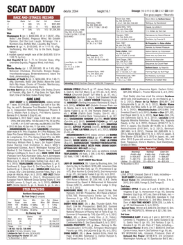 Race and (Stakes) Record Sire Line Family Stud Analysis