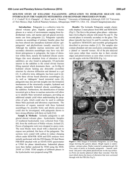 Sem-Tem Study of Icelandic Palagonite: Application to Hydrated Silicate Gel Interfaces in the Nakhlite Meteorites and Secondary Processes on Mars