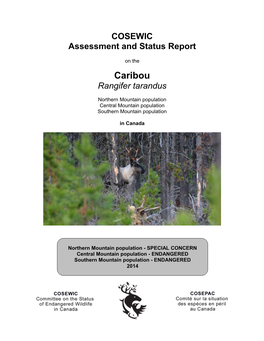 COSEWIC Assessment and Status Report on the Caribou Rangifer