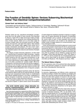 The Function of Dendritic Spines: Devices Subserving Biochemical Rather Than Electrical Compartmentalization