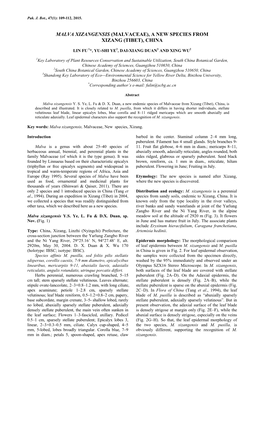 Malva Xizangensis (Malvaceae), a New Species from Xizang (Tibet), China