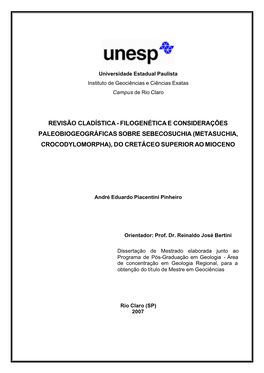 Revisão Cladística - Filogenética E Considerações Paleobiogeográficas Sobre Sebecosuchia (Metasuchia, Crocodylomorpha), Do Cretáceo Superior Ao Mioceno