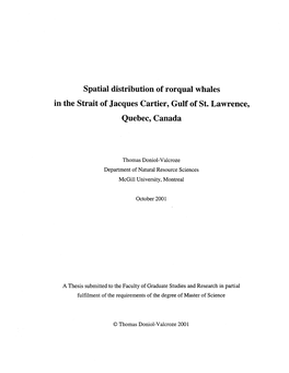 Spatial Distribution of Rorqual Whales in the Strait of Jacques Cartier, Gulf of St