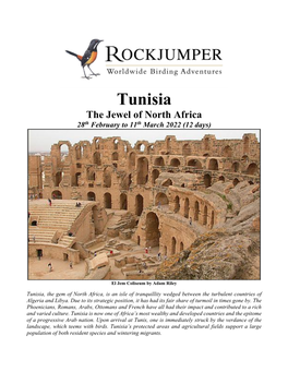 Tunisia the Jewel of North Africa 28Th February to 11Th March 2022 (12 Days)