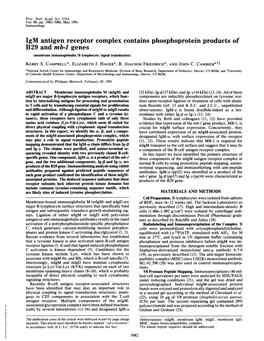 Igm Antigen Receptor Complex Contains Phosphoprotein Products of B29 and Mb-I Genes (Membrane Immunoglobulin/B Lymphocyte/Signal Transduction) KERRY S