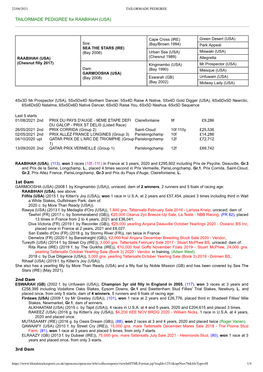 TAILORMADE PEDIGREE for RAABIHAH (USA)