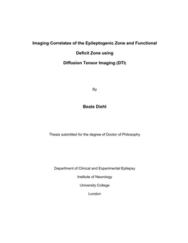 Imaging Correlates of the Epileptogenic Zone and Functional