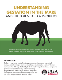 Understanding Gestation in the Mare and the Potential for Problems