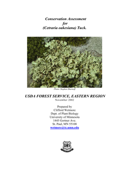 A Lichen Species