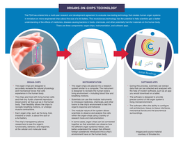 Human Organs on Chips