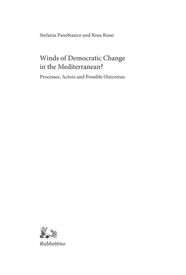 Winds of Democratic Change in the Mediterranean? Processes, Actors and Possible Outcomes