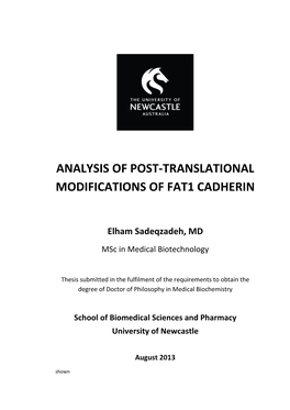 Analysis of Post-Translational Modifications of Fat1 Cadherin