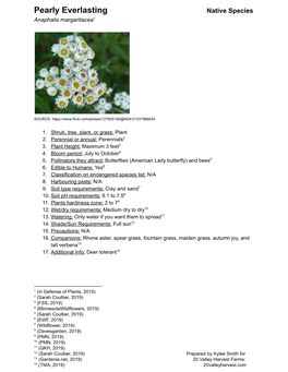 Pearly Everlasting N Ative Species Anaphalis Margaritacea1