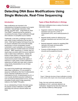 Detecting DNA Base Modifications Using SMRT Sequencing