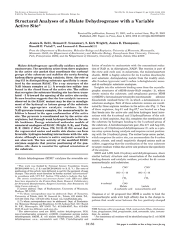 Structural Analysis of MDH with a Variable Active Site