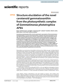 Structure Elucidation of the Novel Carotenoid