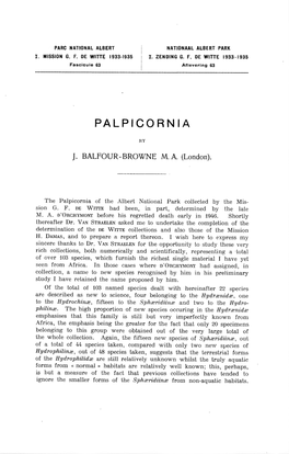 Palpicorni A