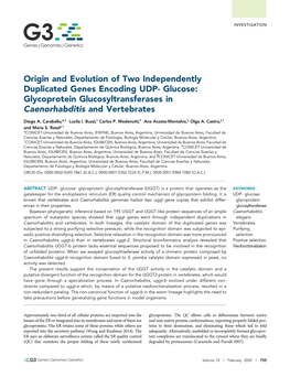Glycoprotein Glucosyltransferases in Caenorhabditis and Vertebrates