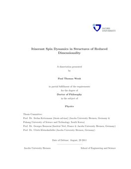 Itinerant Spin Dynamics in Structures of Reduced Dimensionality