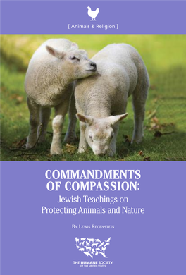 Commandments of Compassion