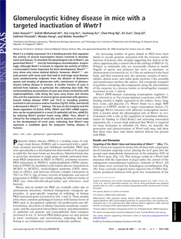 Glomerulocystic Kidney Disease in Mice with a Targeted Inactivation of Wwtr1