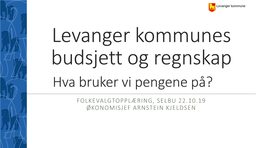 Levanger Kommunes Budsjett Og Regnskap Hva Bruker Vi Pengene På?