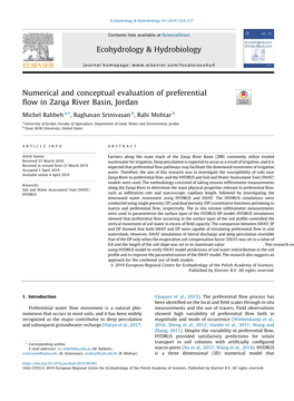 Numerical and Conceptual Evaluation of Preferential Flow in Zarqa River