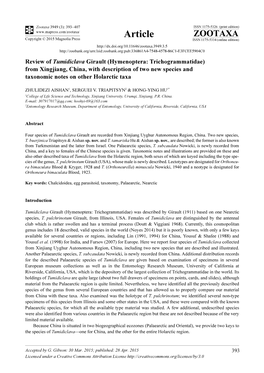 Review of Tumidiclava Girault (Hymenoptera: Trichogrammatidae) from Xingjiang, China, with Description of Two New Species and Taxonomic Notes on Other Holarctic Taxa